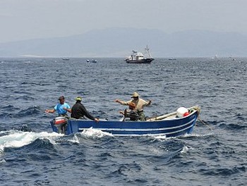 Tonijnen, vissers en orka\'s